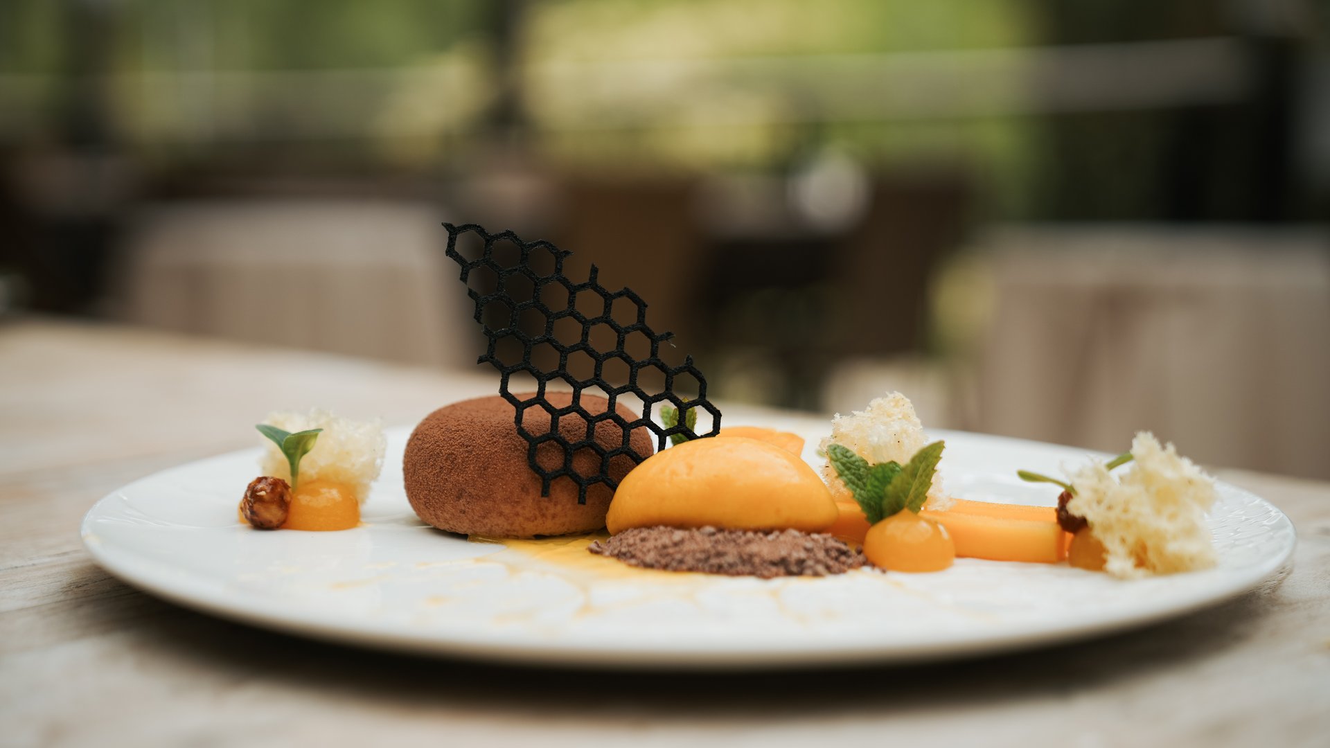 Hotels nahe dem Kalterer See 4-Sterne-Superior Fein angerichtetes Dessert mit Schokolade und Orangeneis auf weißem Teller