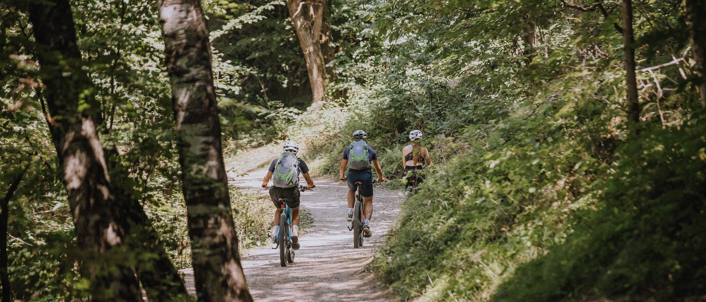 Hotel near Eppan an der Weinstraße: Gartenhotel Moser Three cyclists riding on a forest path surrounded by trees