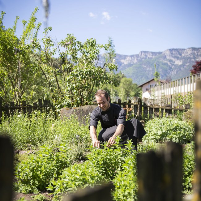 Hotel near Eppan an der Weinstraße: Gartenhotel Moser Man harvesting fresh herbs in a sunny garden with mountains in the background