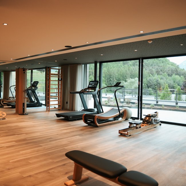 Sporthotel in Alto Adige: il Gartenhotel Moser Palestra moderna con attrezzi e ampie finestre con vista sulle montagne