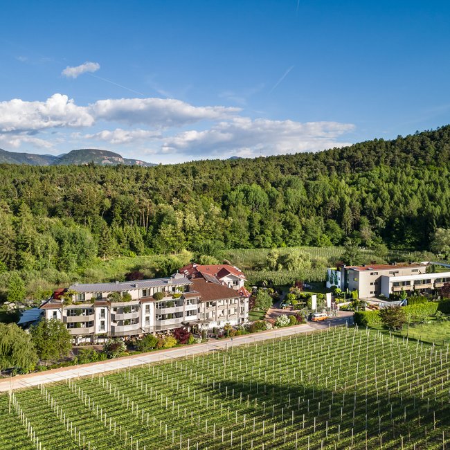 Gourmethotel in Südtirol: Gartenhotel Moser Hotel und Weinberge vor bewaldeten Hügeln unter blauem Himmel