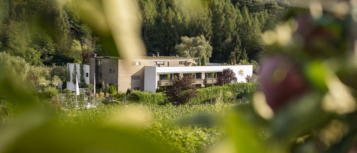 Hotel near Eppan an der Weinstraße: Gartenhotel Moser Building in a green valley with trees and plants in the foreground