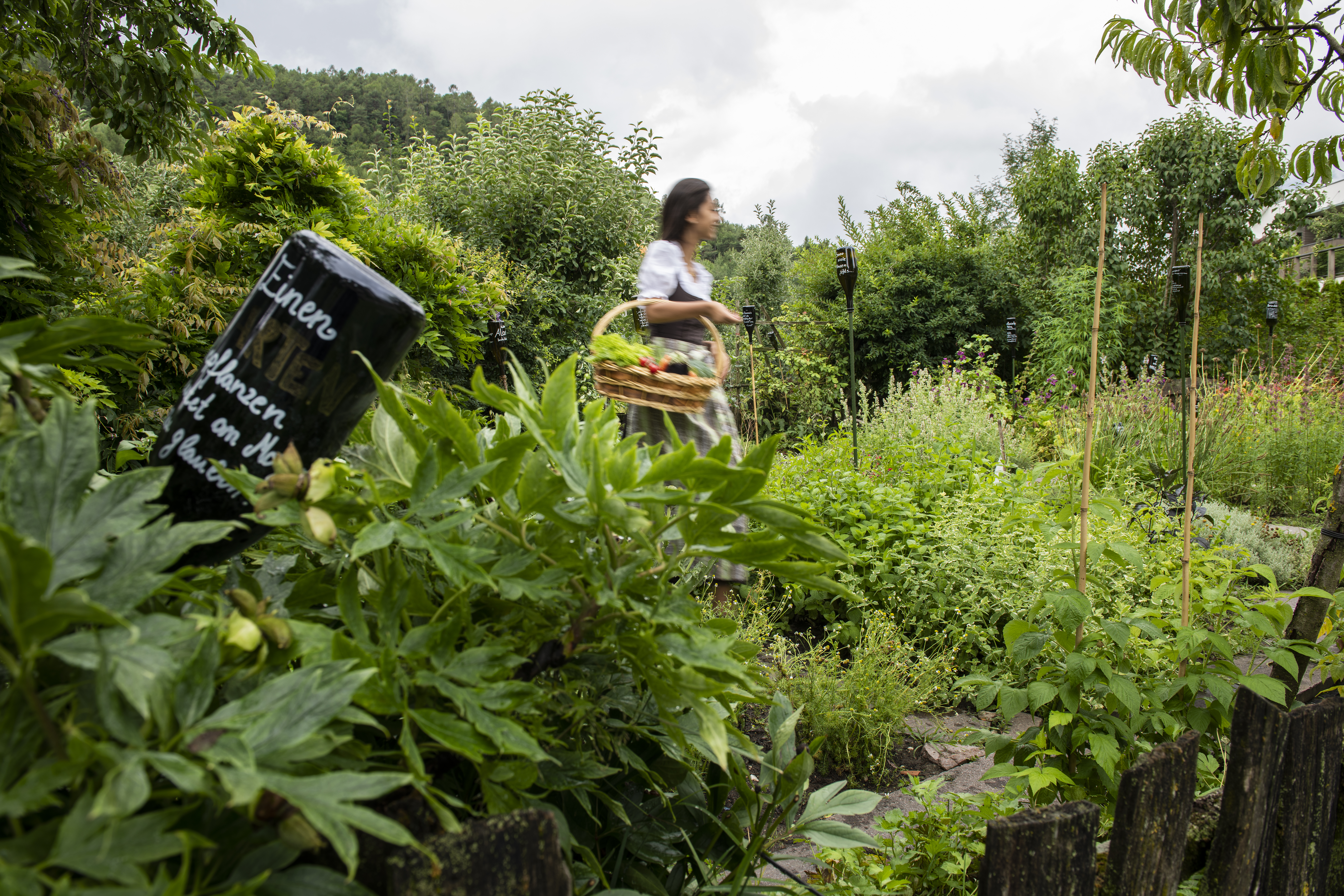 Lago di Monticolo/Montiggler See: a hotel that loves nature Woman in traditional dress carrying basket in a lush herb garden